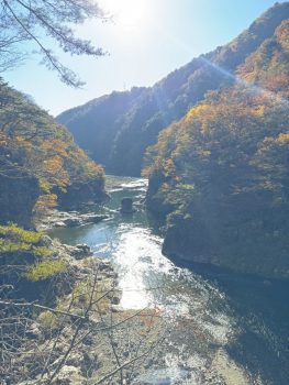 よい仕事のためにもよい息抜きを